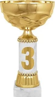 Кубок жизни 1
