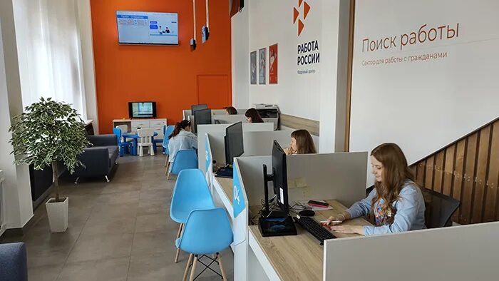 биржа труда омск. брендбук службы занятости новый. брендбук кадрового центра. сайт службы занятости вакансии омск. служба занятости омской области.