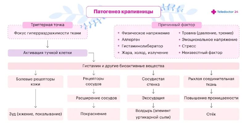 Помощь при крапивнице алгоритм. Схема лечения крапивницы. алгоритм лечения крапивницы. схема лечения крапивницы у взрослых.