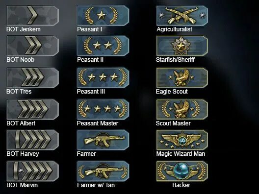 Cs2 host