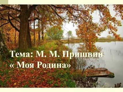 Любовь к родине пришвин