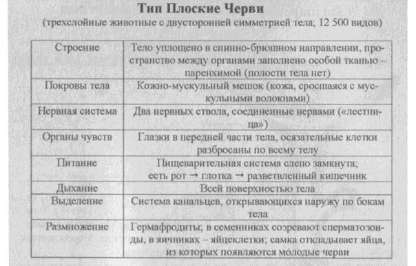 Таблица по биологии 8 класс плоские черви Биология 7 таблица