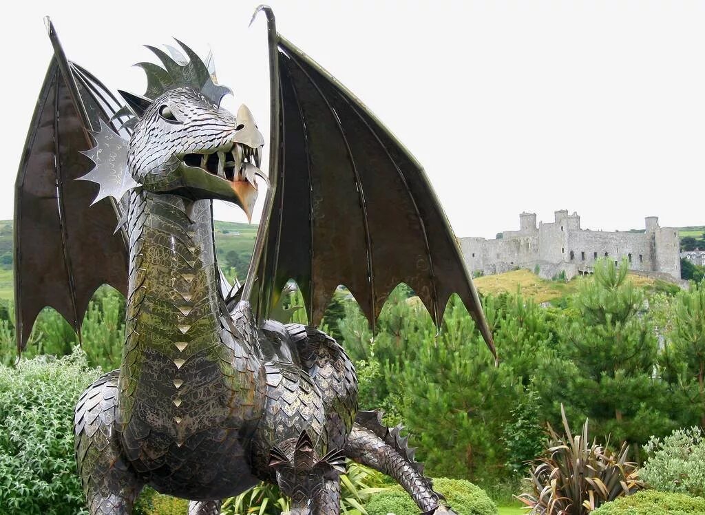 Покажи настоящих драконов. Скульптуры драконов. Дракон настоящий. Статуя дракона. Невероятные драконы.