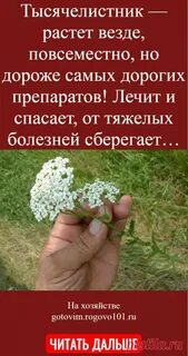 Везде растет
