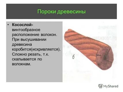 Древесина волокна какая ткань