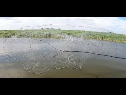 Ловля на кастинговую сеть видео