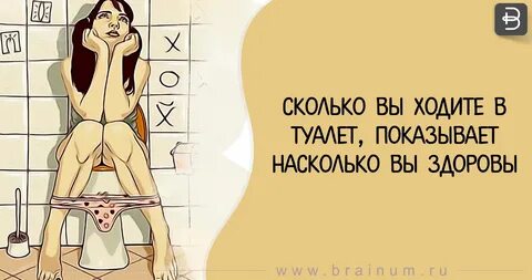 Сколько вы ходите в туалет, показывает насколько вы здоровы.