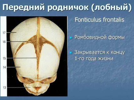 Что значит темечко