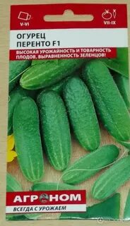 Огурец анзор