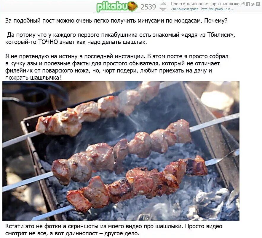 Шашлыки и суч умею это жарить speed. Шашлыки на природе. самый вкусный шашлык. пост про шашлык.