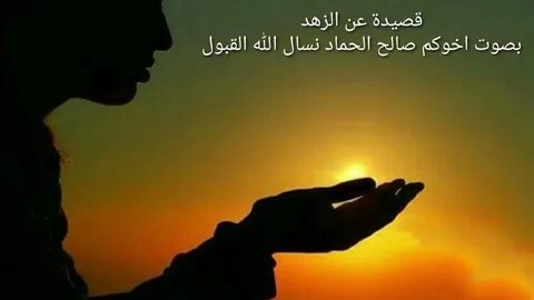 Voiceless