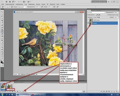 Создание анимационных изображений