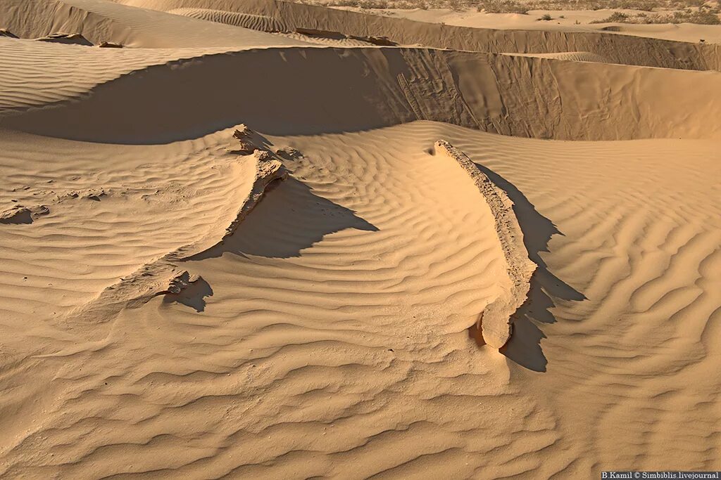 Барханы ханы. Песчаные Барханы Астрахань. Барханы в Калмыкии. Песчаные Барханы Калмыкии. Барханы и дюны Калмыкии.