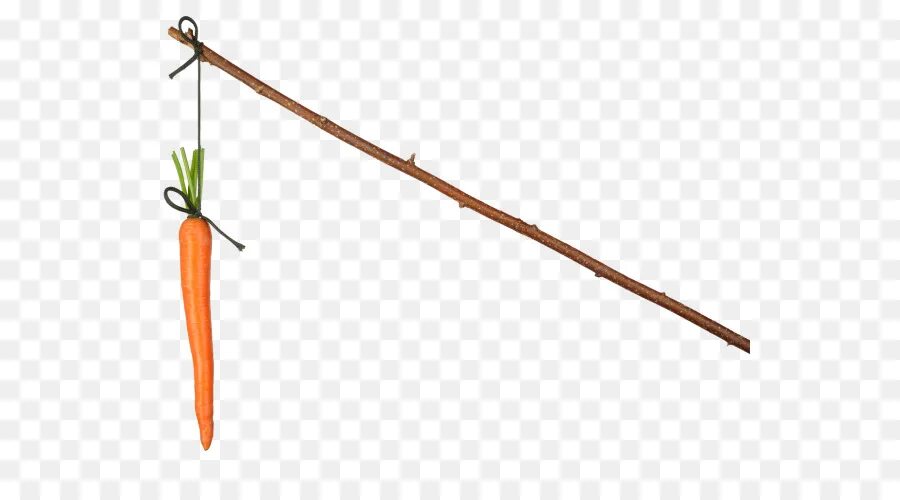 Игрушка удочка для собак. Бежит за морковкой. Как сделать удочку с морковью. Удочка с морковкой. Крафт удочки с морковкой в майнкрафте.