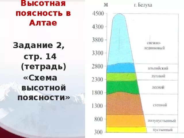 Схема ВЫСОТНОЙ поясности. Высотная поясность класс 8 класс. Высотная поясность уральских гор 8 класс. Высотная поясность Алтая.