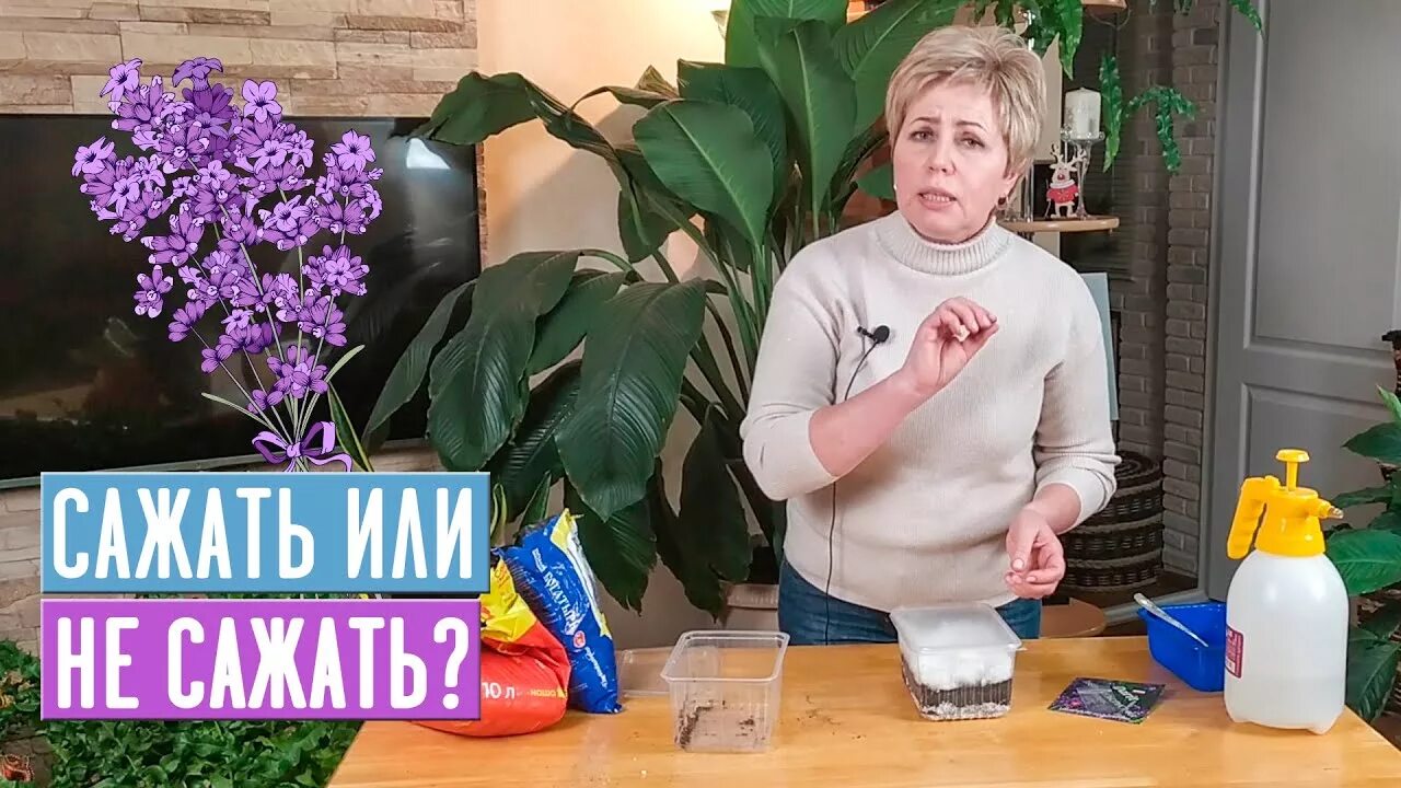 Садовый гид с ларисой зарубиной последние видео. Садовый гид с ларисой зарубиной.