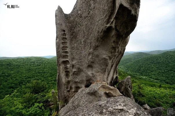 Файл:Chistovodnoe Dragon park little dragon.jpg - Википедия