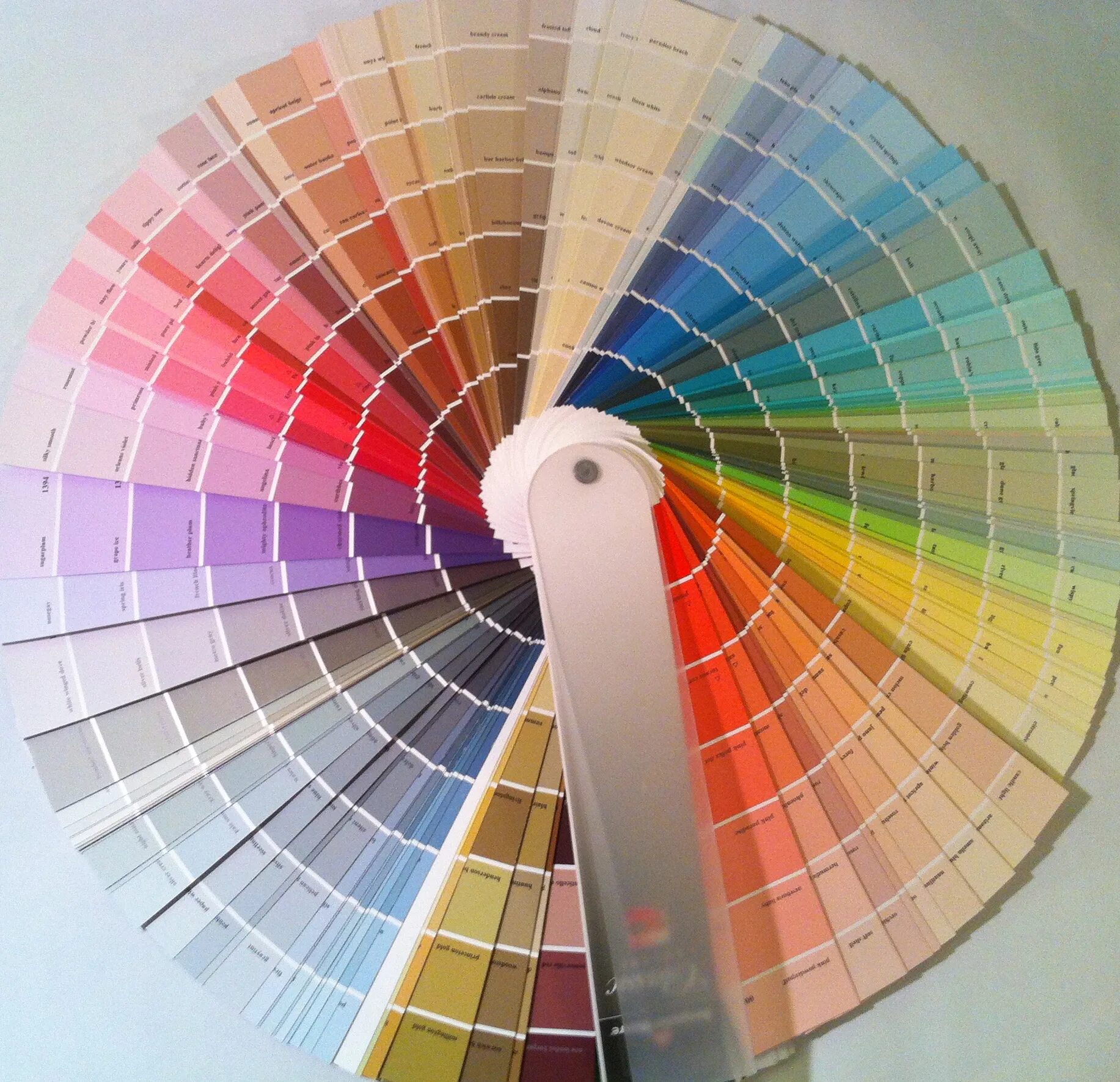 Selected color. Определитель цвета. glaucous цвет. color sample. определитель цвета по фото.