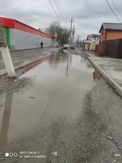 Погода в кулешовке на неделю