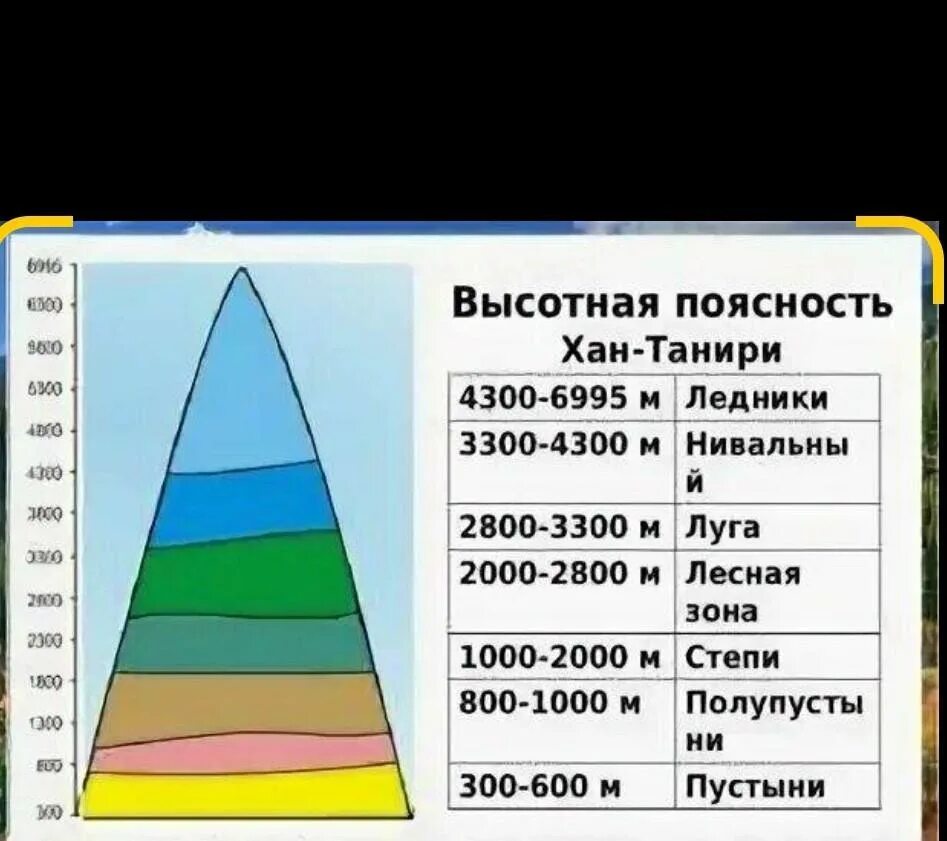 Высотная поясность Тянь Шаня. Высотная поясность Тянь Шаня в Казахстане. Высотная поясность Тянь Шань. Высотная поясность Тянь Шаня схема. Сколько высотных поясов в горах