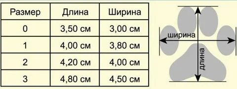 Ботинки для собак размеры
