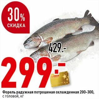 Верный рыба