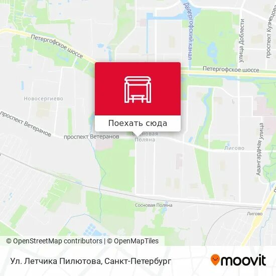 Летчика пилютова дом 11 к2 школа. Улица лётчика пилютова. Улица лётчика пилютова санкт-петербург на карте. Летчика пилютова карта. Летчика пилютова карта.