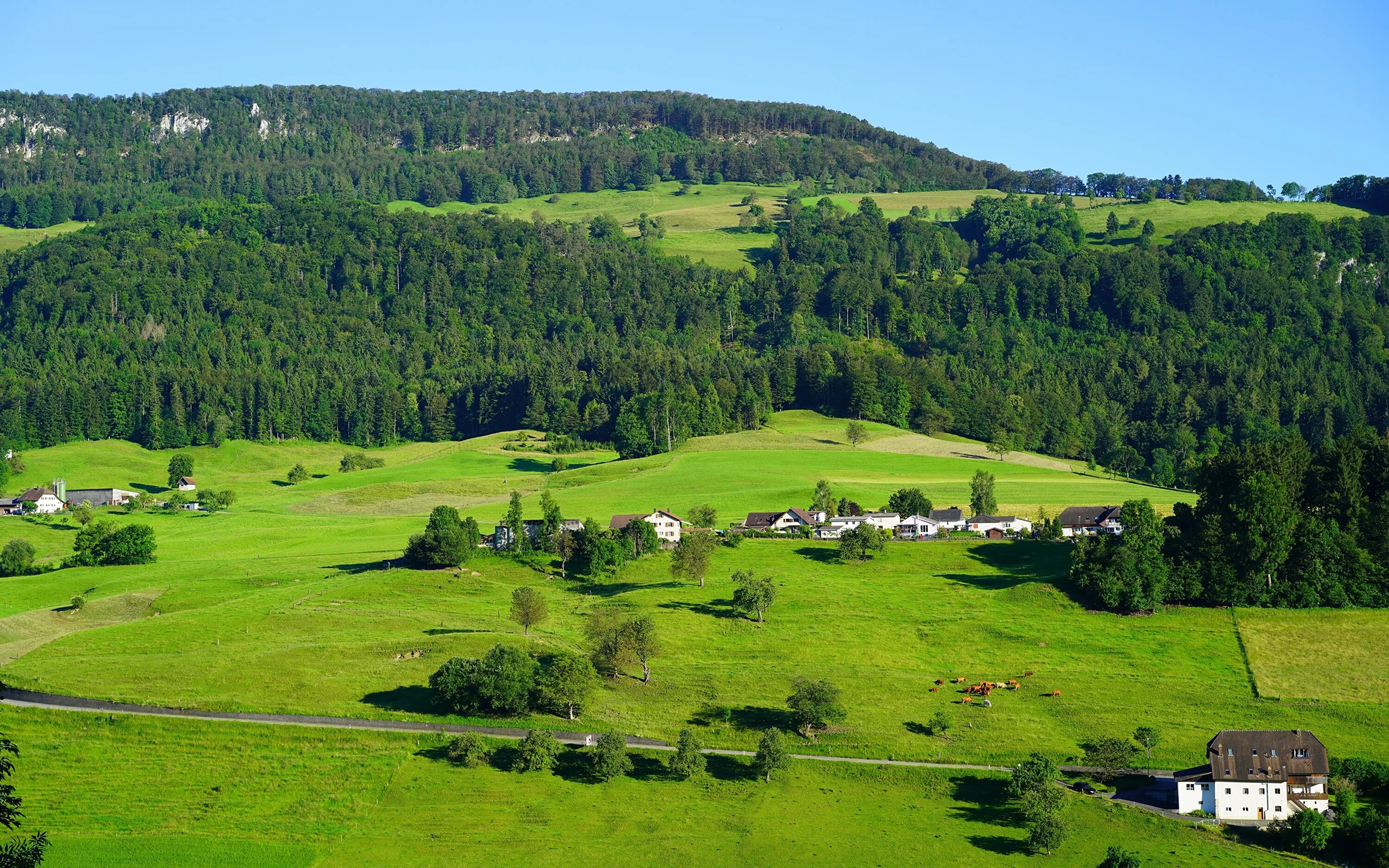 Село холмы. Село холмы. Домик в швейцарии и луга. Село холмы. Село холмы.