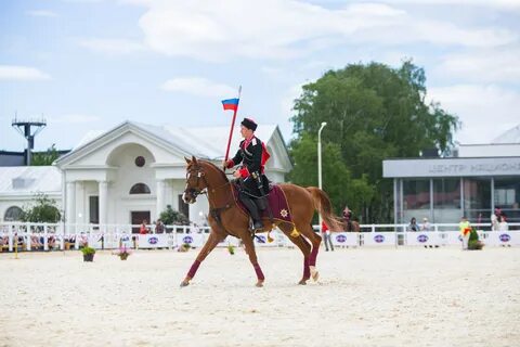 21 января вднх программа