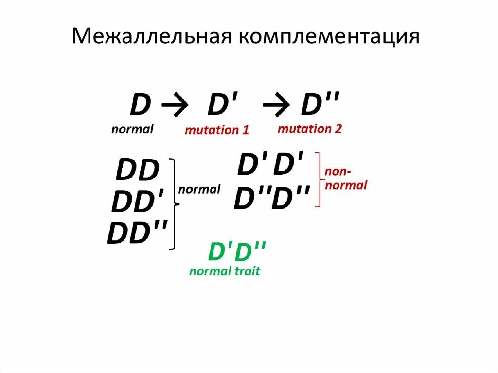 Межаллельная комплементация. Межаллельная комплементация примеры. Аллельные гены Межаллельная комплементация. Пример межаллельной комплементации у человека.