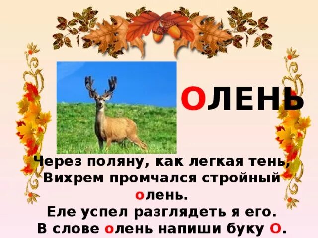 Олень словарное слово. Буква о олень. Как пишется слово олень. Слово олень лексическое слово.