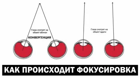 Конвергенция глаз