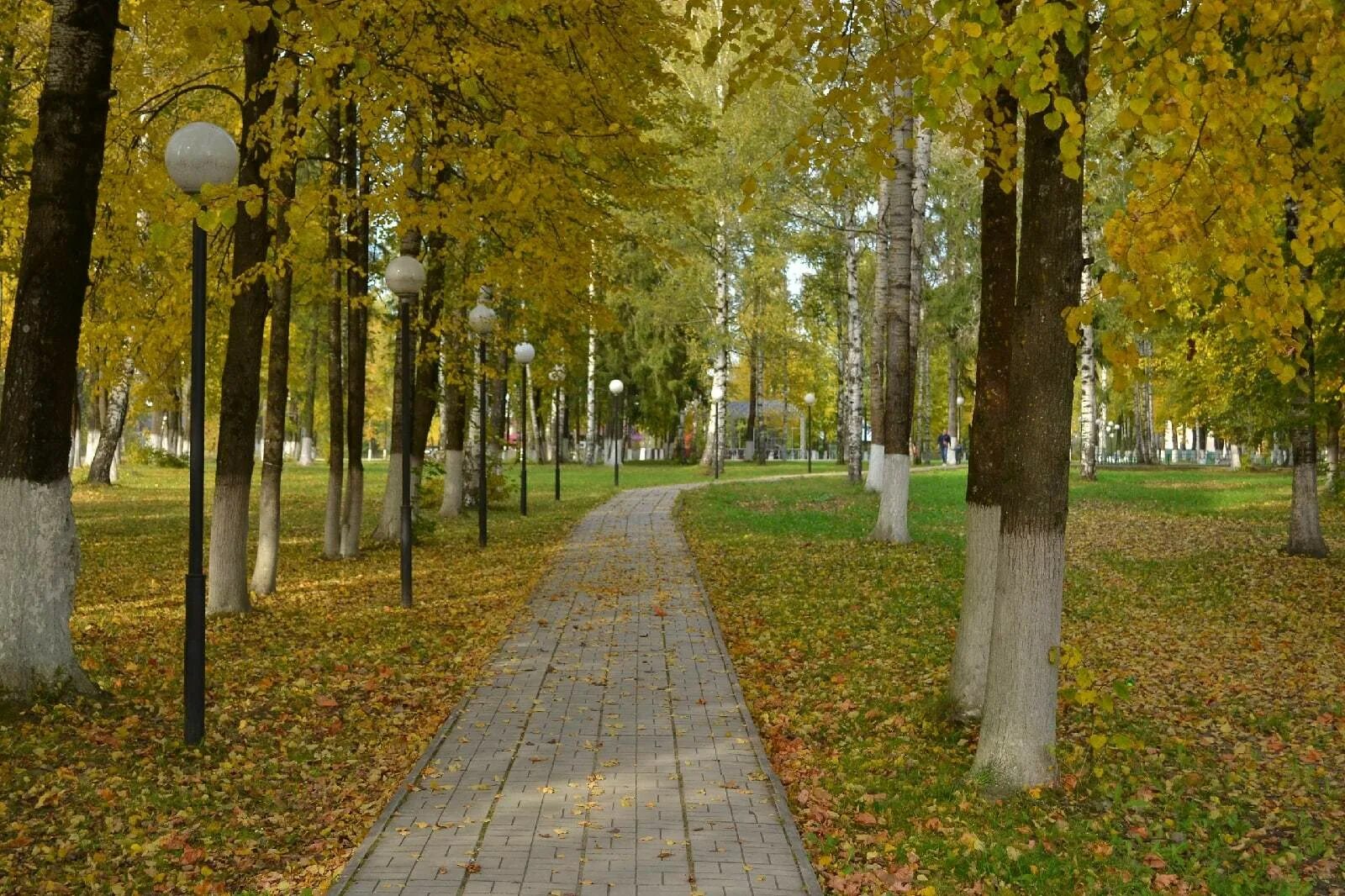 Парк ру тюмень. Комсомольский парк Тюмень. Сквер Комсомольский Тюмень. Тю ень парк Комсомольский. Тюмень. Комсомольский парк Тюмень.