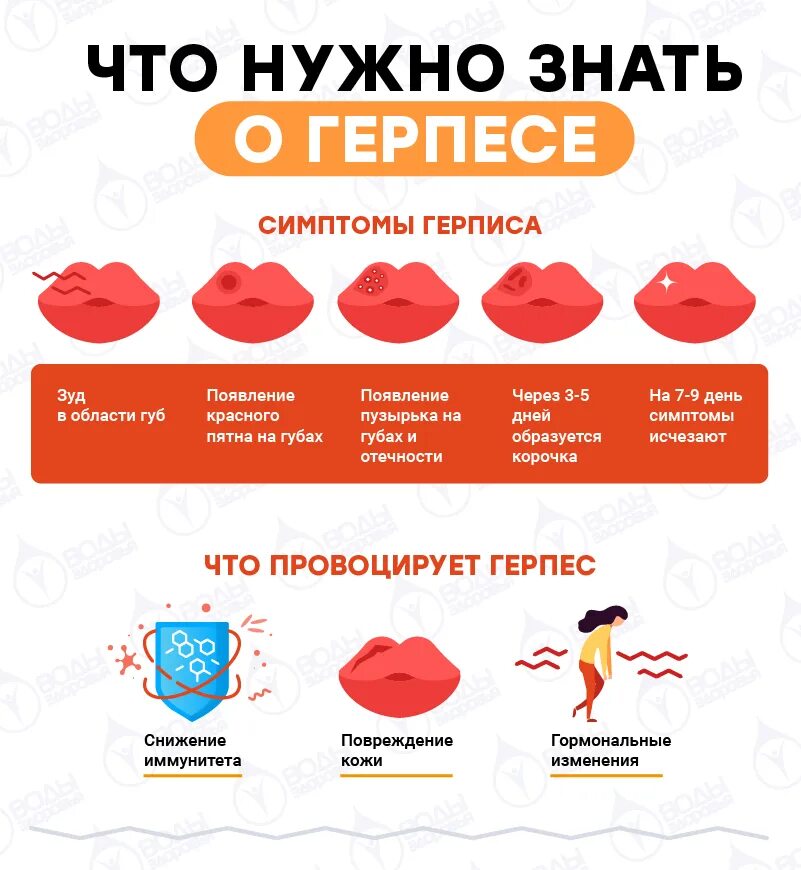 Какие витамины при герпесе