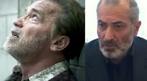 Шварценеггер калоев