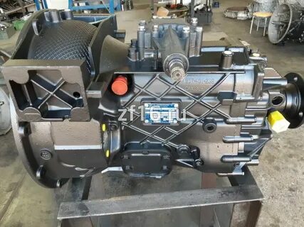 Zf 5s 42