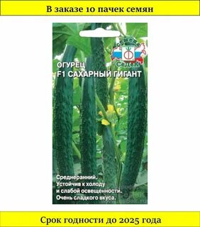 Сахарный огурец