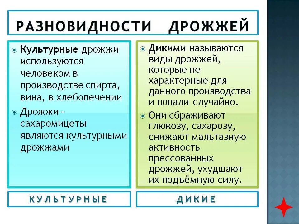 Дрожжи дикие и культурные