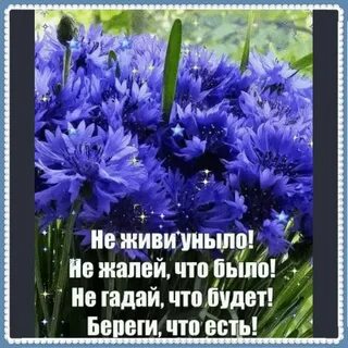Не гадай что будет береги что есть