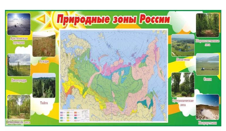 Игры природные зоны россии