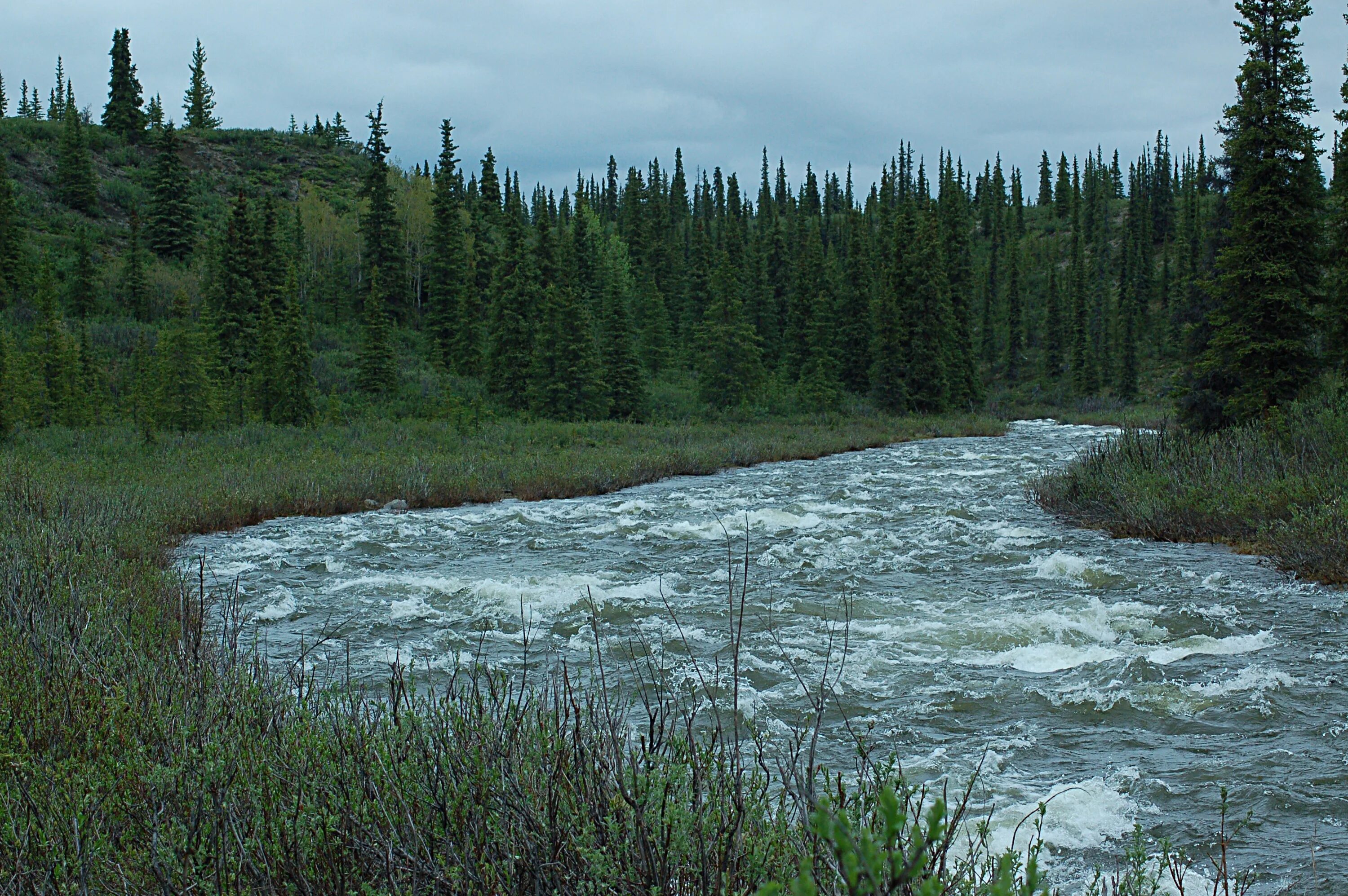 Аляска 4 буквы. Река Танана. Текланика река на Аляске. Тайпалеен йоки река. Ночь мелкая бурная река Аляска.