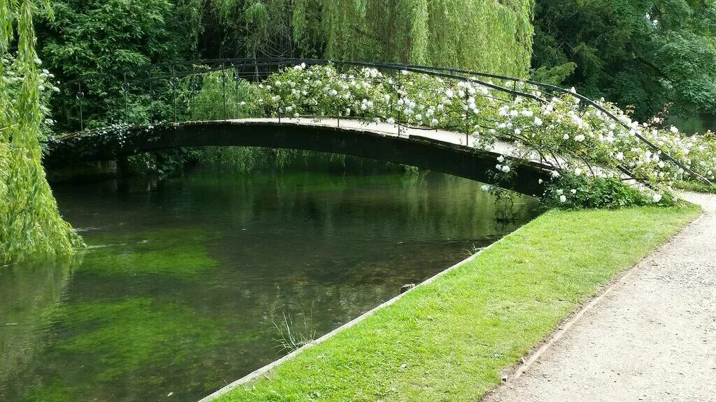 Ландшафт маленького участка. Памятник. Разбили вишневый сад на кубяка. Разбит сад. Разбитый детский сад.