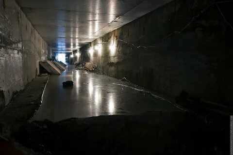 Коллекторы новосибирск