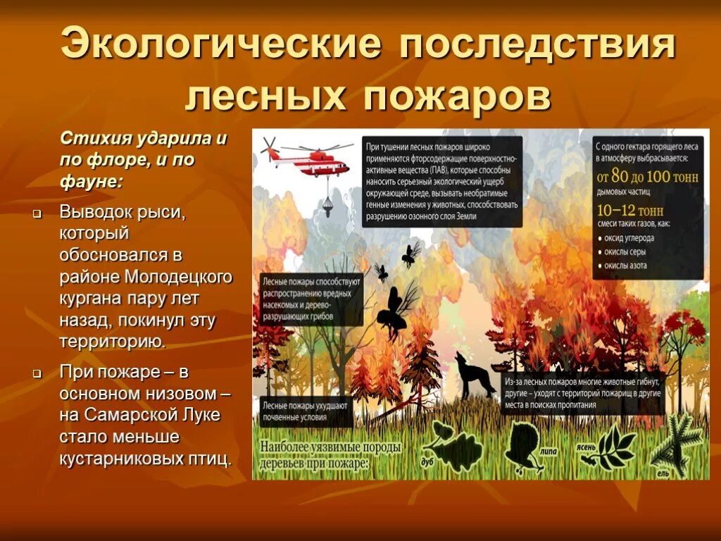 Экологические последствия пожаров. Последствия лесных пожаров. Экологические катастрофы Лесные пожары. Пожары последствия для окружающей среды.