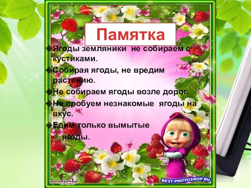 Катя собрала ягоды. Ягоды для детей. Фотосессия с ягодами. Катя собрала ягоды. Сбор клубники.