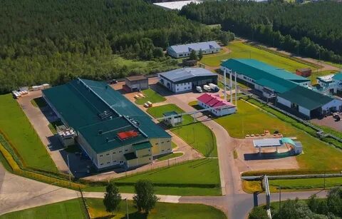Агрохолдинг владимирская область