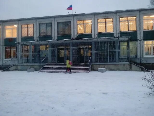 Лицей 101 санкт петербург. Лицей 101 санкт петербург. Лицей 101 выборгского района официальный сайт. Лицей 101 санкт-петербург сикейроса. 101 школа выборгского района.