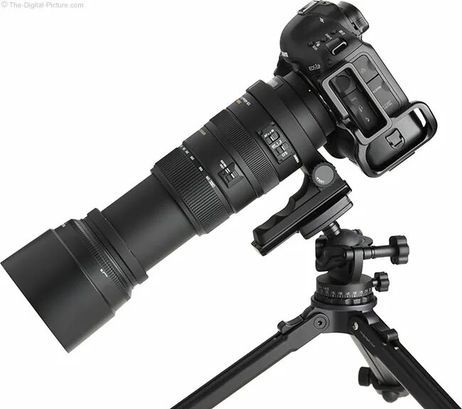 Sigma 120-400. Sigma af 120-400mm f/4.5-5.6 apo DG os HSM Nikon. 120-400mm f4.5-5.6 DG apo os HSM Nikon f. Объектив Sigma af 120-400mm f/4.5-5.6 apo DG os HSM Sigma sa.