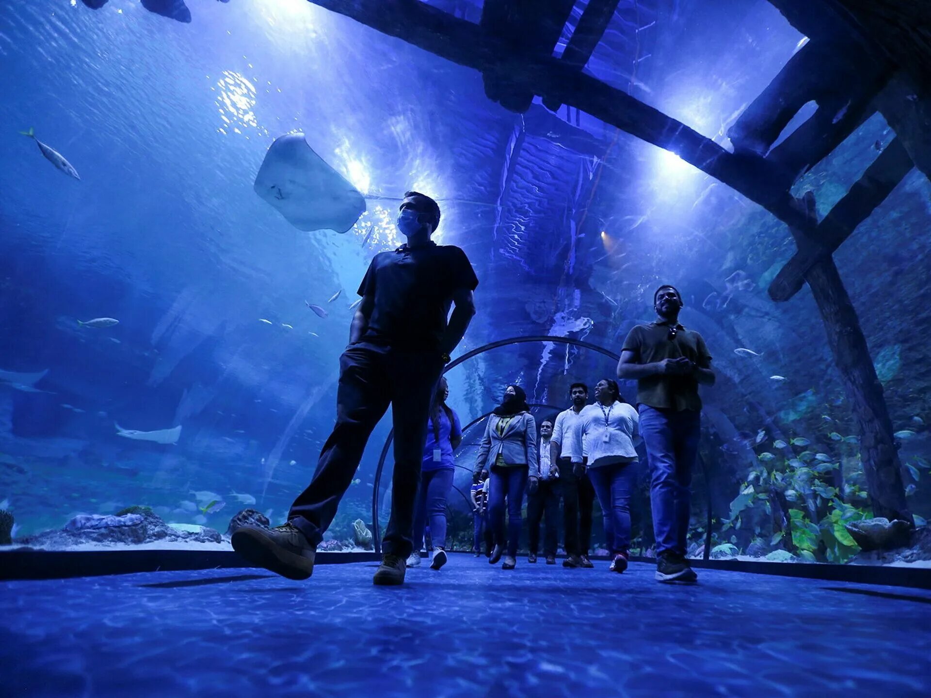 Открытие самого большого океанариума. Абу-Даби the National Aquarium. Jrtfyfhbev FLE ,F,B. Аквариум Абу Даби. Абу Даби достопримечательности океанариум.