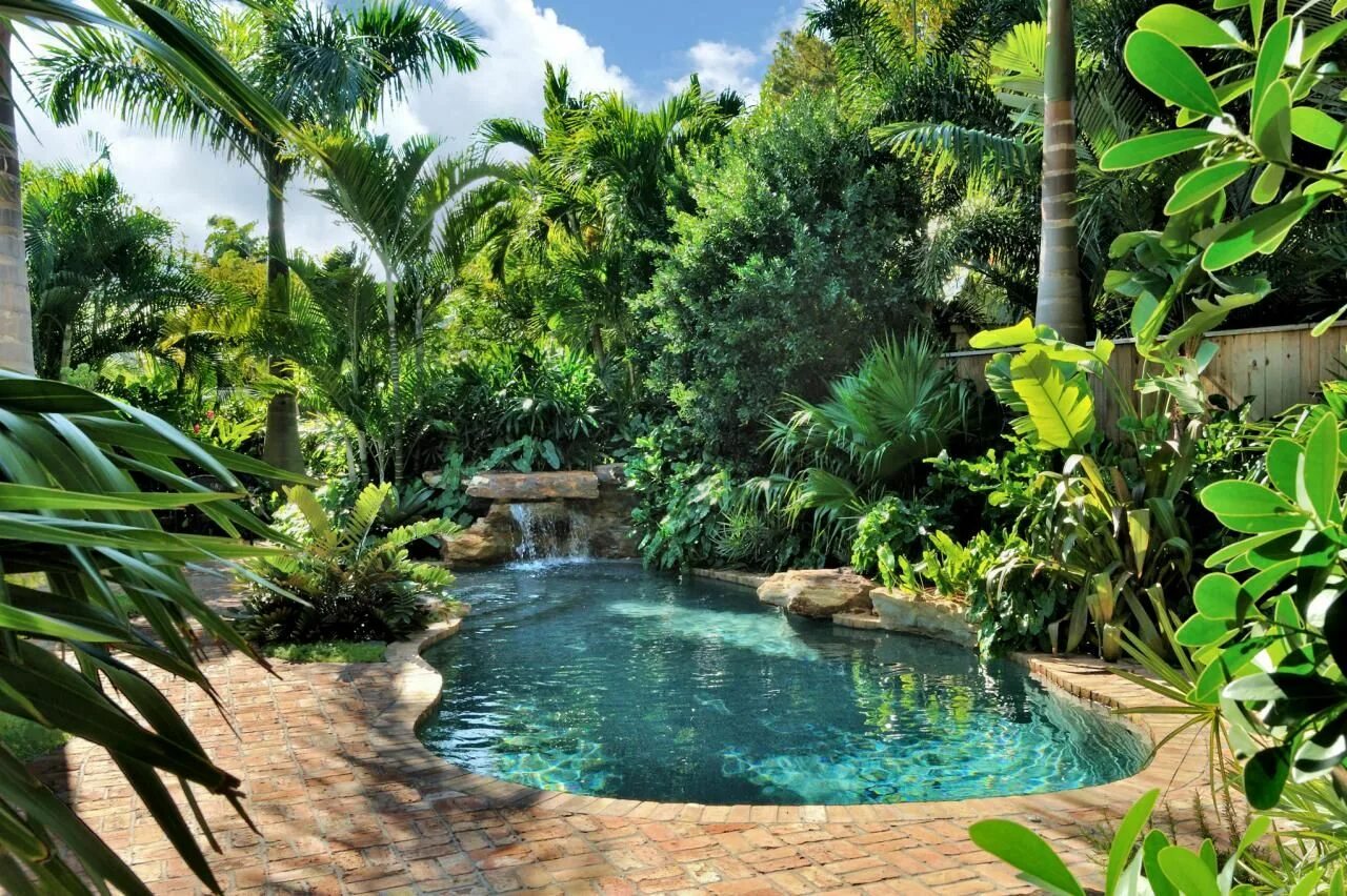 Тропический сад с бассейном. Бассейн в тропическом стиле. Сад в тропическом стиле. Бассейн в тропиках.